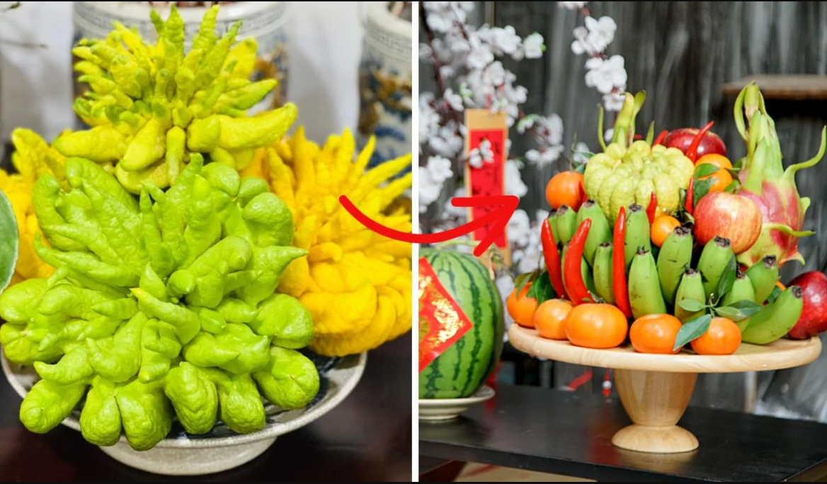 Cách bảo quản và trưng bày quả Phật Thủ.png